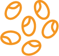 2024 ícone