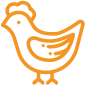 aves